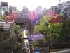 Osaka 13: 