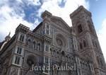 Florence 6: 